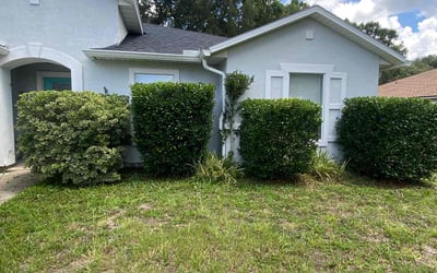 Photo of Teresita F.'s yard after getting tree care in Green Cove Springs, FL