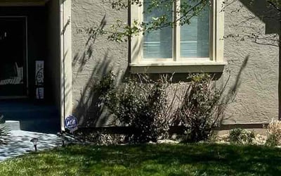 Photo of Beatrice D.'s yard after getting landscaping in Trimble, MO