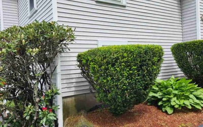 Photo of Charles G.'s yard after getting landscaping in Manchester, NH