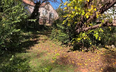 Photo of Eria B.'s yard after getting landscaping in Pickens, SC