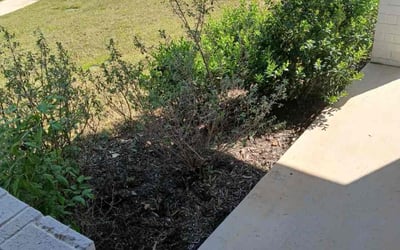Photo of Kristin P.'s yard after getting landscaping in Azle, TX