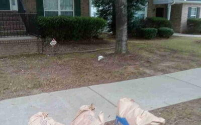 Photo of Judith L.'s yard after getting landscaping in Emerson, GA