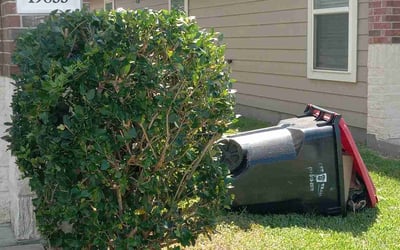 Photo of Tammie H.'s yard after getting landscaping in South Houston, TX