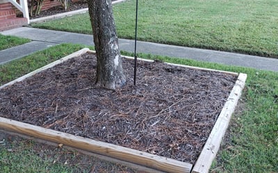 Photo of William T.'s yard after getting landscaping in Corolla, NC