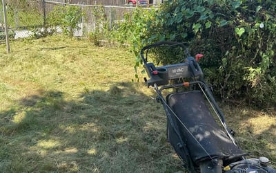 Photo of Mary R.'s yard after getting landscaping in Harwood, MD