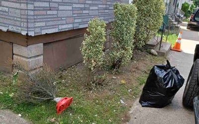 Photo of Jonathan R.'s yard after getting landscaping in Hilton, NY