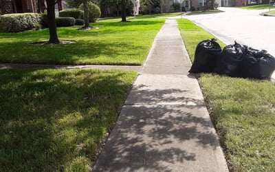 Photo of Jason R.'s yard after getting landscaping in Danbury, TX