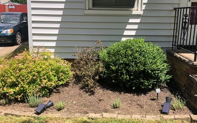 Photo of Jason P.'s yard after getting landscaping in Perry, OH