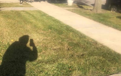 Photo of Sheila P.'s yard after getting landscaping in Carol Stream, IL