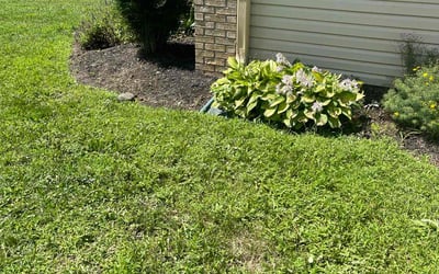 Photo of Sarah H.'s yard after getting landscaping in Coatesville, IN