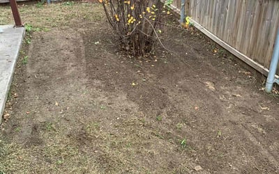 Photo of Michael K.'s yard after getting landscaping in Rio Vista, TX