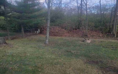 Photo of Steve C.'s yard after getting landscaping in Crooksville, OH