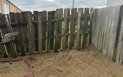Photo of Kenny R.'s yard after getting landscaping in Lafayette, LA