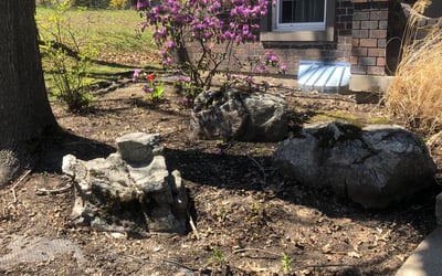 Photo of Ryan N.'s yard after getting landscaping in Pleasanton, KS
