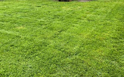 Photo of Julie D.'s yard after getting landscaping in Greencastle, IN