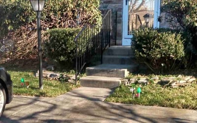 Photo of Emily H.'s yard after getting tree care in Laurel, MD