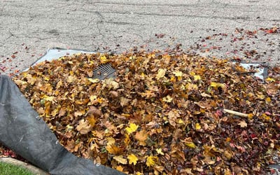 Photo of Deborah W.'s yard after getting landscaping in Newbury, OH