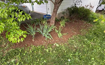 Photo of Jenny G.'s yard after getting landscaping in Germantown, MD