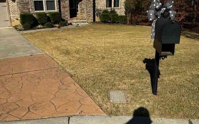 Photo of Brian P.'s yard after getting landscaping in Smyrna, SC
