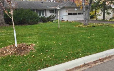 Photo of Robin C.'s yard after getting landscaping in Carver, MN