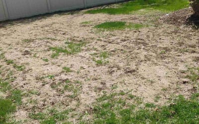 Photo of Deborah M.'s yard after getting landscaping in Bolingbrook, IL