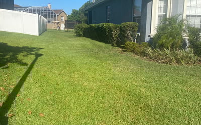 Photo of Josh H.'s yard after getting landscaping in River Ranch, FL