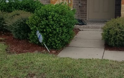 Photo of Jennifer B.'s yard after getting landscaping in Whitt, TX