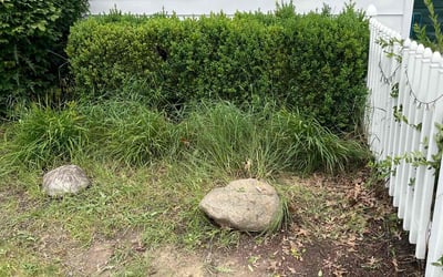 Photo of Mack P.'s yard after getting tree care in Fairborn, OH