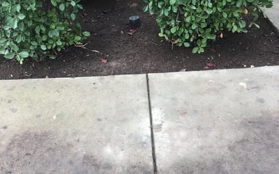 Photo of Denise A.'s yard after getting landscaping in Pollock Pines, CA