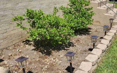 Photo of Christopher S.'s yard after getting landscaping in Tinley Park, IL