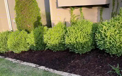 Photo of Terry W.'s yard after getting landscaping in Lawson, MO