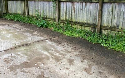Photo of Mark R.'s yard after getting landscaping in Spotsylvania, VA