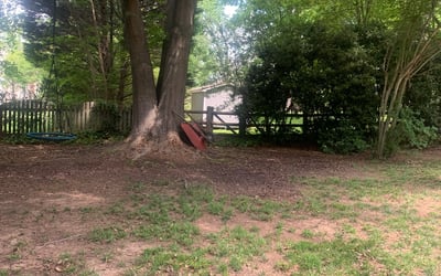 Photo of Nick S.'s yard after getting landscaping in Iron Station, NC