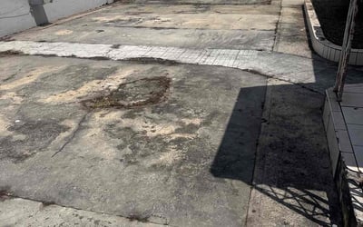 Photo of Rey G.'s yard after getting landscaping in Miami, FL