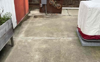 Photo of Samuel M.'s yard after getting tree care in Berkeley, CA