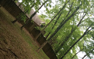 Photo of Heather S.'s yard after getting landscaping in Munford, TN