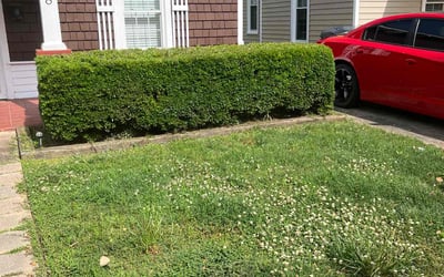 Photo of Andres A.'s yard after getting landscaping in Rockwell, NC