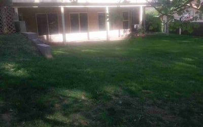 Photo of William B.'s yard after getting landscaping in Des Moines, IA