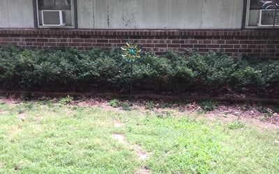 Photo of Michelle L.'s yard after getting landscaping in Marshfield, MO