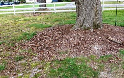 Photo of Amanda D.'s yard after getting landscaping in Port Royal, VA
