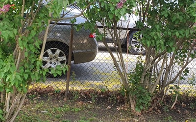 Photo of Steve L.'s yard after getting landscaping in Wakefield, RI