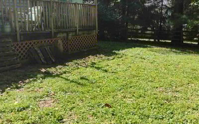 Photo of Donna A.'s yard after getting landscaping in Mount Airy, MD