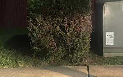 Photo of Dan P.'s yard after getting landscaping in Nazareth, PA