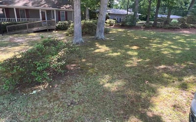 Photo of Sandra D.'s yard after getting landscaping in Knightdale, NC