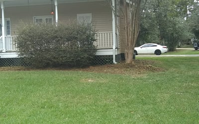 Photo of James H.'s yard after getting landscaping in Pearl River, LA