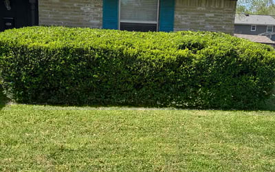 Photo of Alex W.'s yard after getting landscaping in Norman, OK