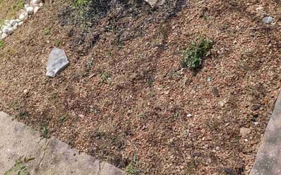 Photo of Grace S.'s yard after getting landscaping in Osawatomie, KS
