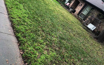 Photo of Matthew S.'s yard after getting landscaping in Blue Ridge, TX