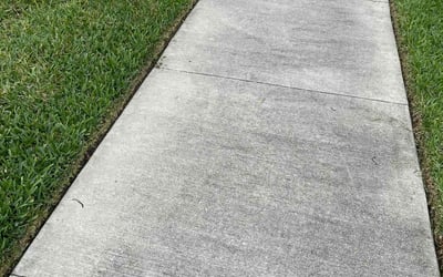 Photo of Ryan A.'s yard after getting landscaping in Apopka, FL
