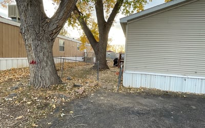 Photo of Mark S.'s yard after getting landscaping in Eastlake, CO